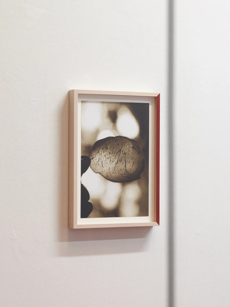 About the memories and emotions that dwell in things.