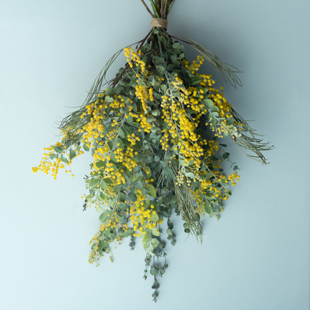 MIMOSA SWAG WORKSHOPのお知らせ