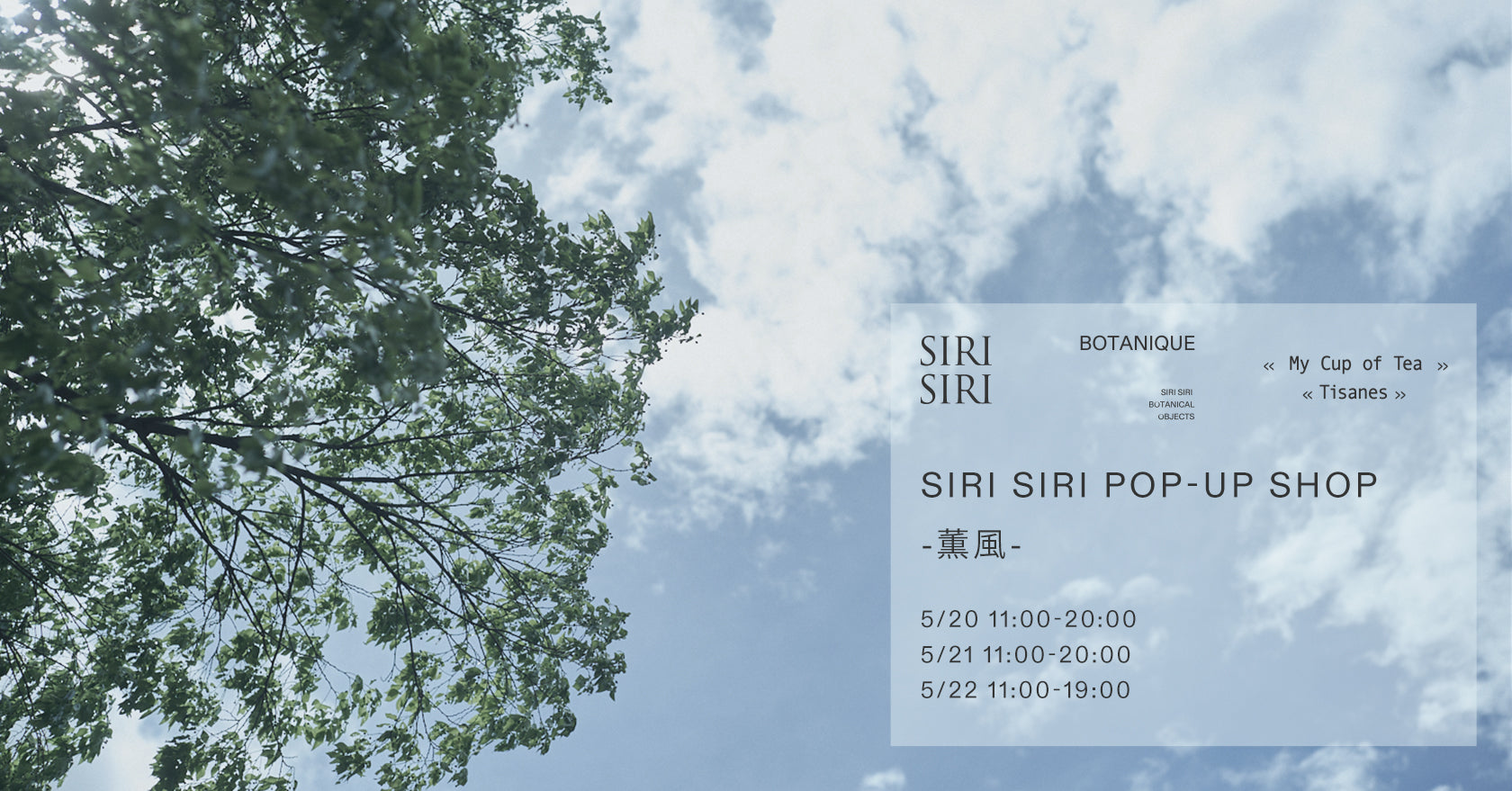 SIRI SIRI POP UP SHOP -Kanfu-