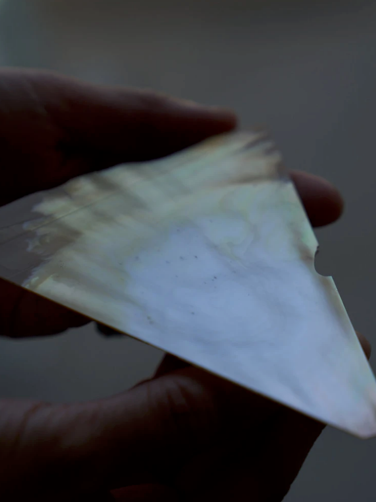 Roots of mother-of-pearl that change into seven colors